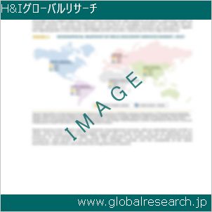 グローバルリサーチ調査レポートのイメージ